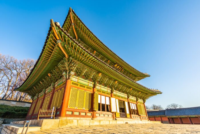 Seoul Spring Bloom Tour – 5 Days 4 Nights Premium Experience - Image 4