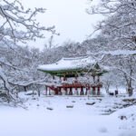 Seoul Winter Adventure Tour Package Nami Island winter scenery