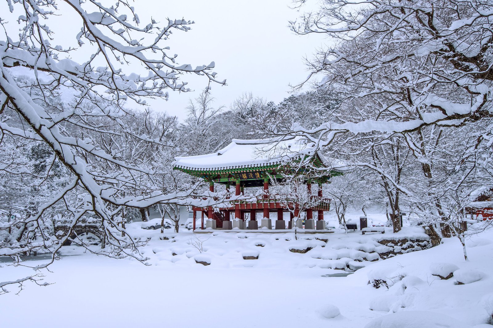 Seoul Winter Adventure Tour Package Nami Island winter scenery