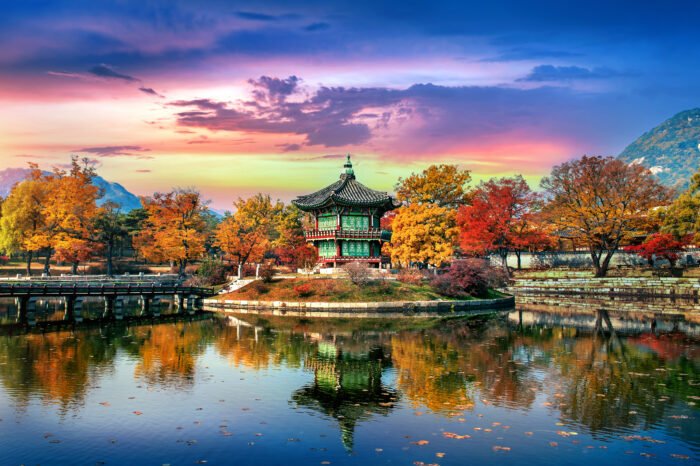 Seoul Spring Bloom Tour – 5 Days 4 Nights Premium Experience - Image 2