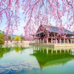 Seoul Spring Bloom Tour - Nami Island