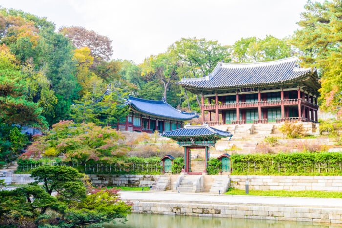 Seoul Spring Bloom Tour - Gyeongbok Palace with Hanbok