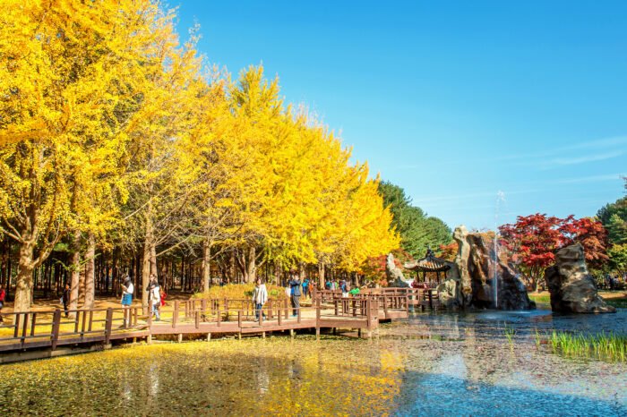 Seoul Golden Adventures Tour Nami Island Ferry Experience